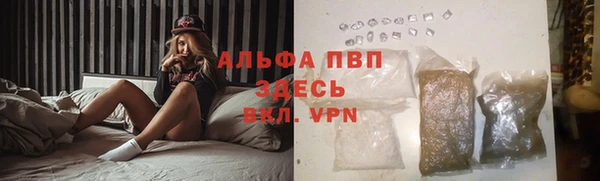 сатива Баксан
