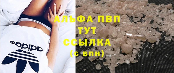 сатива Баксан