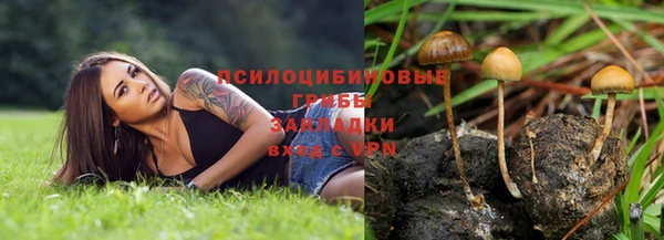 сатива Баксан
