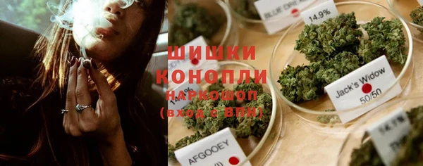 сатива Баксан