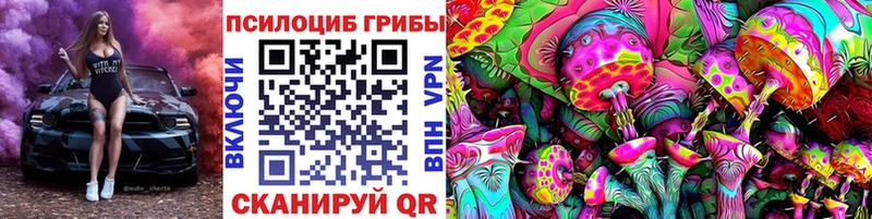 Псилоцибиновые грибы мухоморы  площадка клад  Куровское  omg маркетплейс 