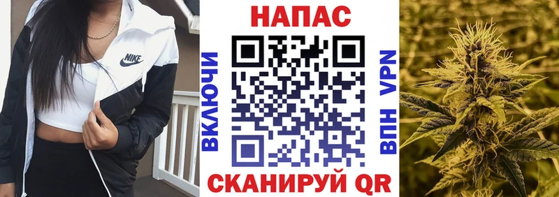 Шишки марихуана план  что такое   Куровское 